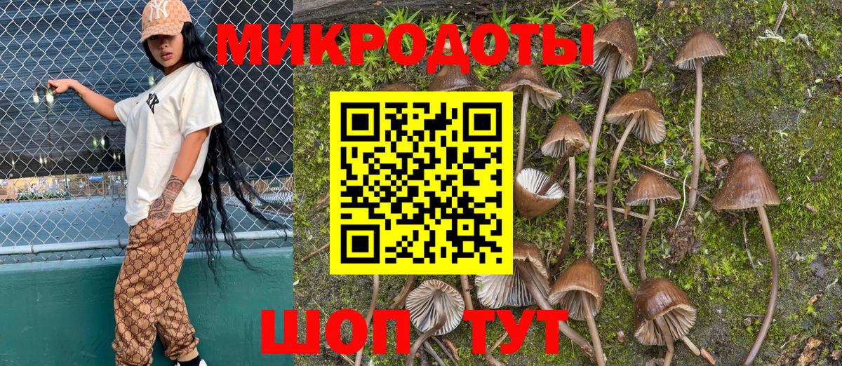 Галлюциногенные грибы MAGIC MUSHROOMS Чернушка